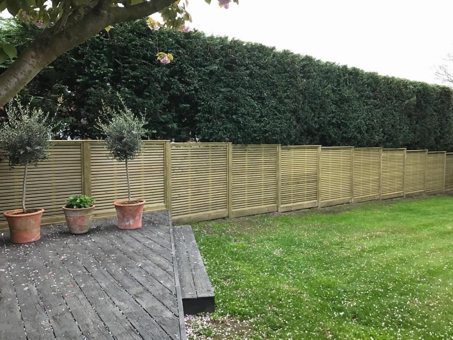 Venetian in front of Hedge